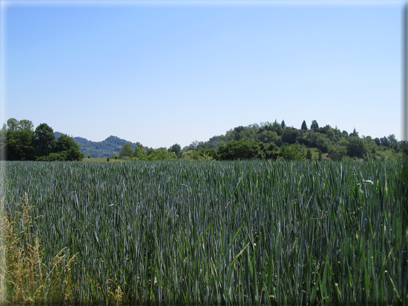 foto Paesaggi Collinari in Primavera